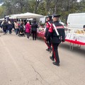 Potenziati gli interventi di ordine pubblico della Compagnia dei Carabinieri di Andria