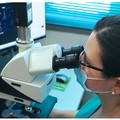 Covid in Puglia, attualmente positivi e ricoverati tornano ad aumentare