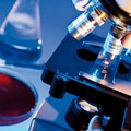Presunto caso di coronavirus, le prime analisi sono negative