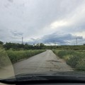 Emergenza xylella a Minervino Murge: "La provincia è ferma "