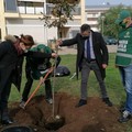 Celebrata la Festa dell'albero di Fareambiente Laboratorio di Andria