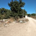 Dal boschetto di Santa Barbara alle rade querce di contrada San Nicola