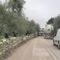 Ingorghi e lunghe file di vetture: ecco cos'è diventata la provinciale 43 per Montegrosso