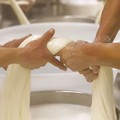 La Burrata di Andria IGP al “True Italian Taste” di Bruxelles