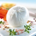 Ben tre mozzarelle di Andria nella classifica delle  "Top ten " del Gambero Rosso