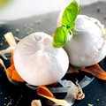  "Distretto Produttivo Lattiero Caseario di Qualità della Burrata di Andria " se ne discute in IV Commissione regionale