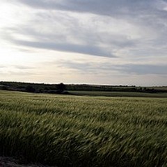 Alta Murgia Eco Trail, 300 iscritti da tutta Italia