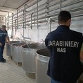 Andria, presunto caso di listeria dopo un decesso dello scorso 9 marzo