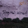 Il centro Zenith, a proposito delle scritte inneggianti il nazismo nella nostra città