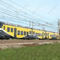 Ordinanza sindacale su taglio rami ed alberi in proprietà privata interferenti con la sede ferroviaria