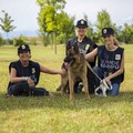 Puglia, aperte le iscrizioni al corso gratuito per guardie zoofile OIPA