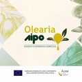 Alla scoperta del mondo olivicolo
