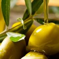 Arriva l'Indicazione Geografica Protetta per  "Olio di Puglia "
