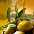 Olio extra vergine d'oliva: sempre più straniero mentre crescono le sofisticazioni