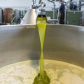 Olio d'oliva: Coldiretti Puglia, nei magazzini 80mila ton EVO made in Italy (+117%)