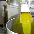 L'Associazione Frantoiani di Puglia plaude alla nascita del nuovo soggetto fondato ad Andria