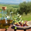 Olio d'oliva, Coldiretti Puglia: annata di alta qualità e valore record. Cresce export dop (+62%)