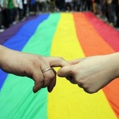 È ancora polemica sulla legge contro l'omofobia: educazione alle differenze o indottrinamento?