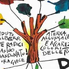 Radici