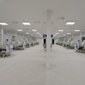 Covid, nella Bat 124 nuovi casi sui 1.233 totali in Puglia