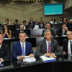 Tutela produttori olio: Consiglio regionale approva a maggioranza Odg