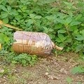 Botti di Capodanno: due pericolosi ordigni inesplosi rinvenuti dalla Polizia Locale ad Andria