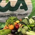 Agricoltura sotto attacco, CIA Puglia: “A rischio anche la cucina italiana”