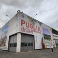 Vinitaly, Confagricoltura Bari-BAT: “Il vino pilastro dell’economia locale "