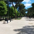 Scarso il verde urbano ad Andria, appena lo 0,3%: "Con recovery fund creare foreste urbane "