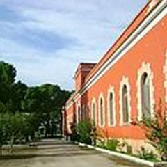 Vendita di produzioni viticole presso l'azienda  "Papparicotta "