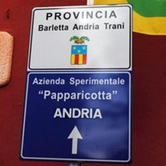 Azienda "Papparicotta ", al via la vendita delle produzioni olivicole e vitivinicole