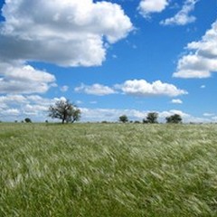 Parco Alta Murgia: un progetto di realtà virtuale per viverlo