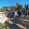 Poco verde pubblico ad Andria, Assessore Losappio: “Stiamo colmando un gap di oltre dieci anni”