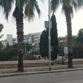 Andria fanalino di coda in Puglia per dotazione di verde pubblico