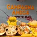 Festività pasquali: la colomba batte le uova di cioccolato