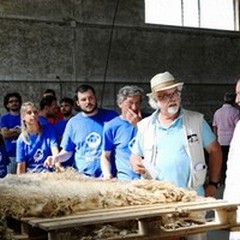 Alta Murgia e progetto Partnersheep domenica su "Linea Verde "
