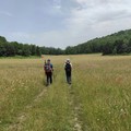 Gli italiani nel 2025 prevedono di viaggiare di più, ma con un occhio rivolto alla sostenibilità ambientale