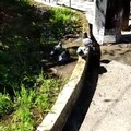Piccolo allagamento di una aiuola del giardino di piazza Unità d’Italia