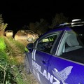 Autovetture rubate rinvenute questa mattina ad Andria, in contrada Monachelle