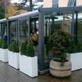 Ad una svolta la vicenda dei dehors: pronto il regolamento