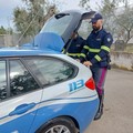 Furti d'auto: il plauso del senatore Damiani all'operazione "Alto impatto " della Questura Bat