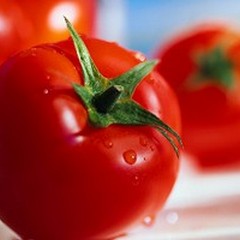 Pomodoro: "Per la tutela di produttori e consumatori, serve la D.O.P. "