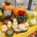 Il marchio "Puglia " continua a conquistare spazio nel carrello della spesa degli italiani