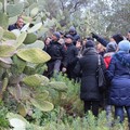 Ancora escursioni per l'associazione "Passeggiata nel Parco Nazionale dell'alta Murgia "