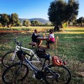 Agriturismo escluso da politiche regionali: crac da € 150 milioni