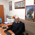 Crisi olivicola, AIPO Puglia: "Senza interventi duraturi si rischia la distruzione del patrimonio olivicolo regionale "