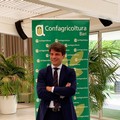Furti nelle campagne di Andria: il presidente di Confagricoltura Bari - Bat incontra il Prefetto Riflesso