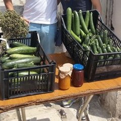 Cooperativa Sant'Agostino, atti intimidatori e furti nei terreni confiscati