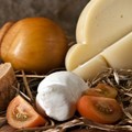 Solo l'agricoltura fa crescere l'export pugliese