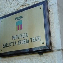 Avviso pubblico per l'affidamento temporaneo dei terreni dell'azienda "Paparicotta "